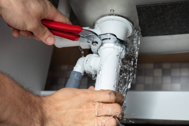 Best Water damage mitigation services  in Ridgely, MD