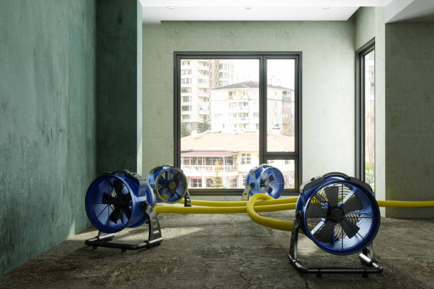 Best Ceiling water damage repair  in Ridgely, MD