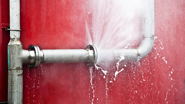Best Sewage cleanup and water damage restoration  in Ridgely, MD